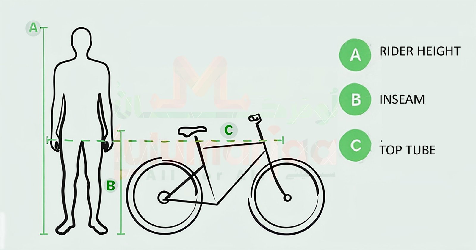Cycle Sizing Guide